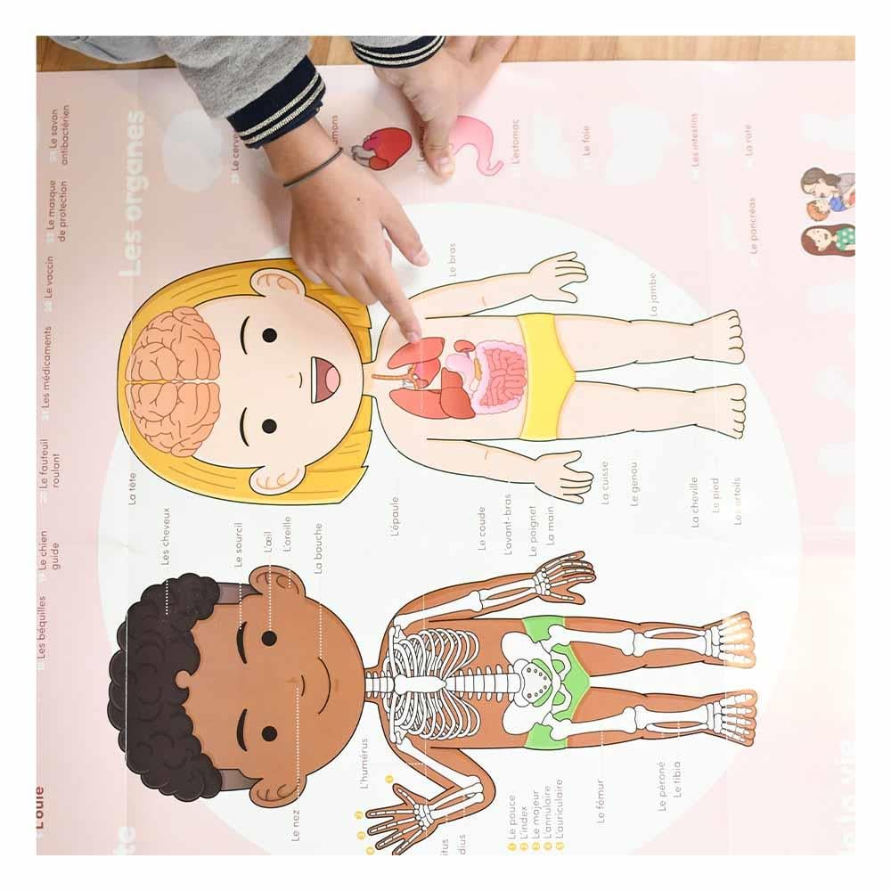 Human Body - Poster XXL And Stickers Çocuk Kitapları Uzmanı - Children's Books Expert