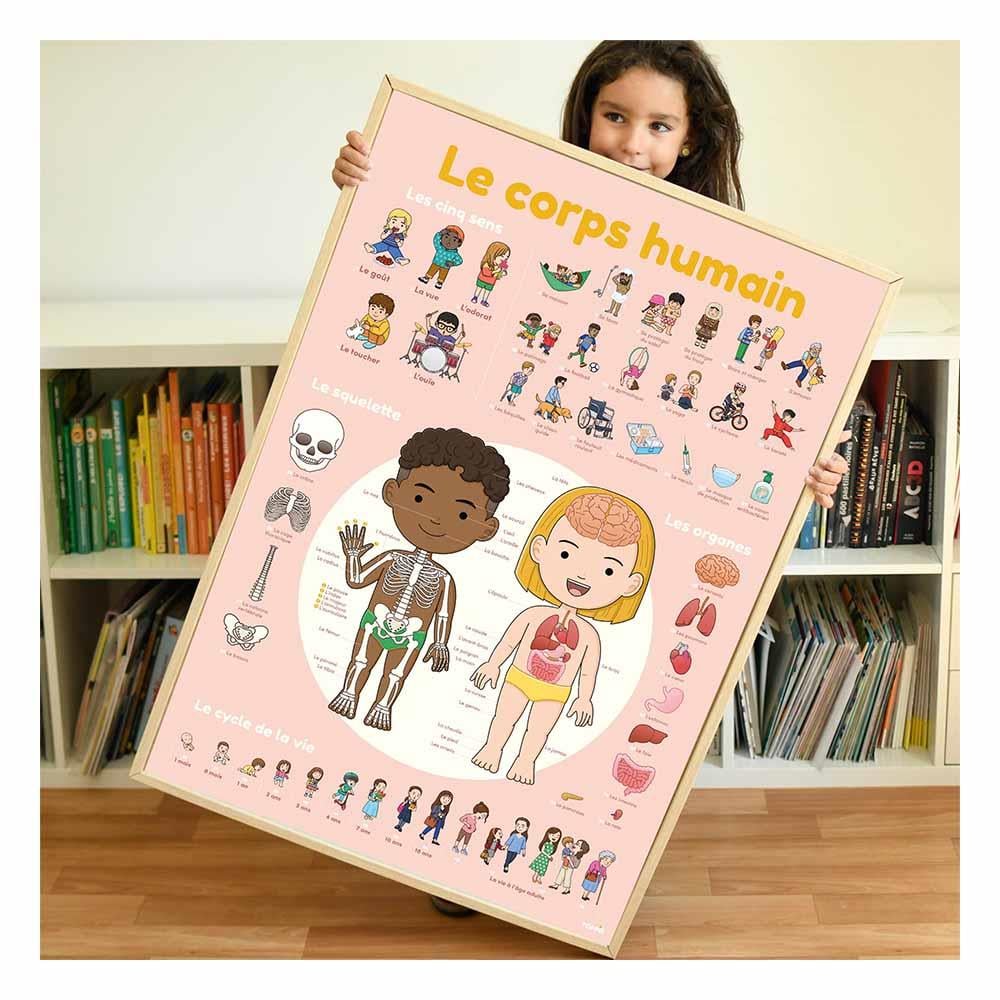 Human Body - Poster XXL And Stickers Çocuk Kitapları Uzmanı - Children's Books Expert