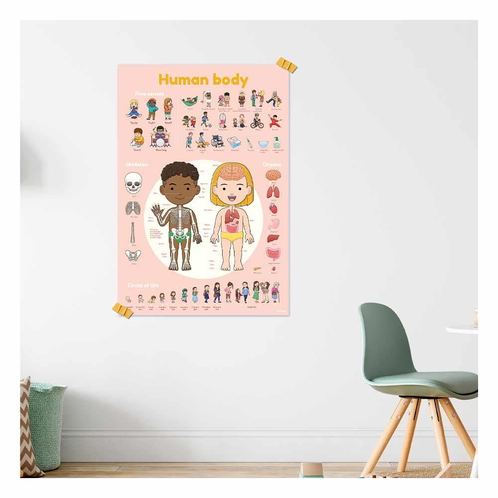 Human Body - Poster XXL And Stickers Çocuk Kitapları Uzmanı - Children's Books Expert
