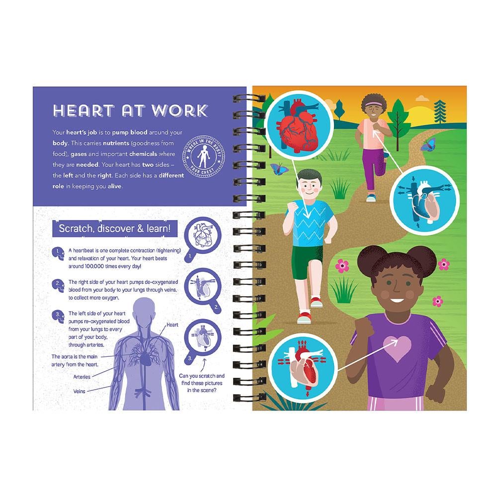 Human Body - Scratch, Discover And Learn Çocuk Kitapları Uzmanı - Children's Books Expert