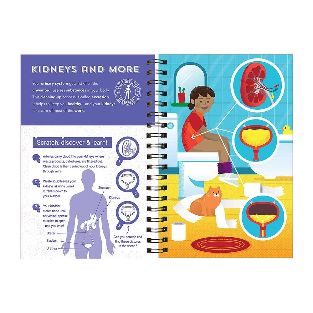 Human Body - Scratch, Discover And Learn Çocuk Kitapları Uzmanı - Children's Books Expert