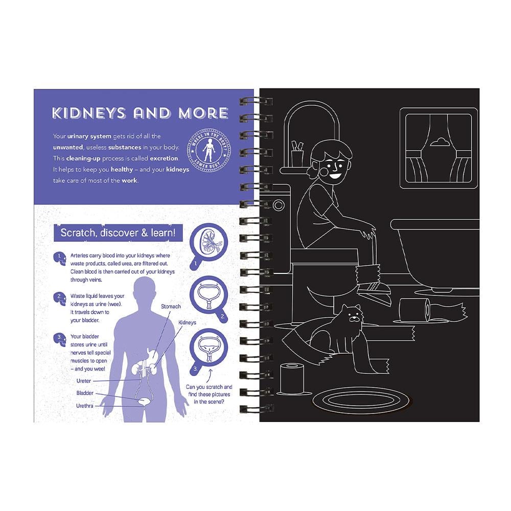 Human Body - Scratch, Discover And Learn Çocuk Kitapları Uzmanı - Children's Books Expert