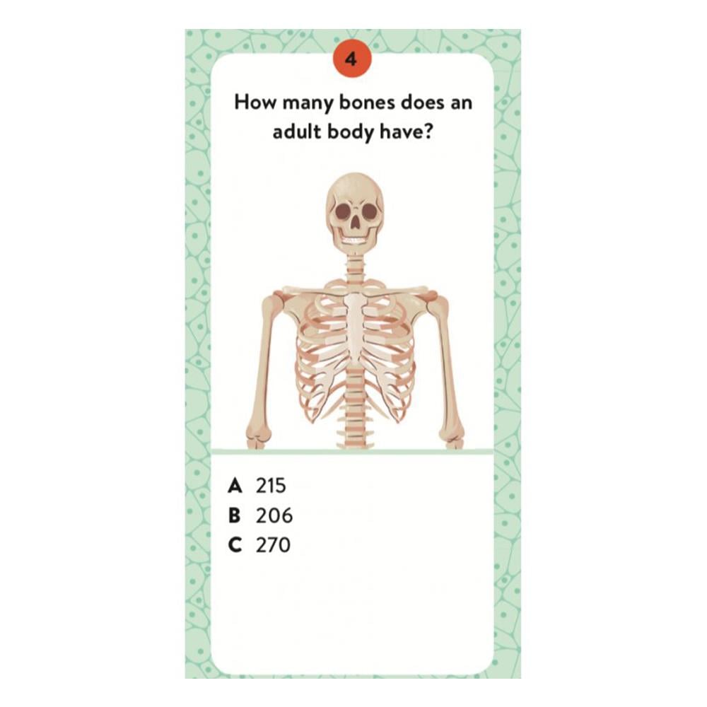HUMAN BODY - THE ULTIMATE ATLAS Çocuk Kitapları Uzmanı - Children's Books Expert