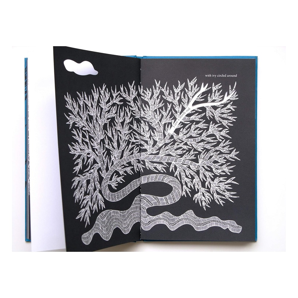 I Saw a Peacock With a Fiery Tail Çocuk Kitapları Uzmanı - Children's Books Expert