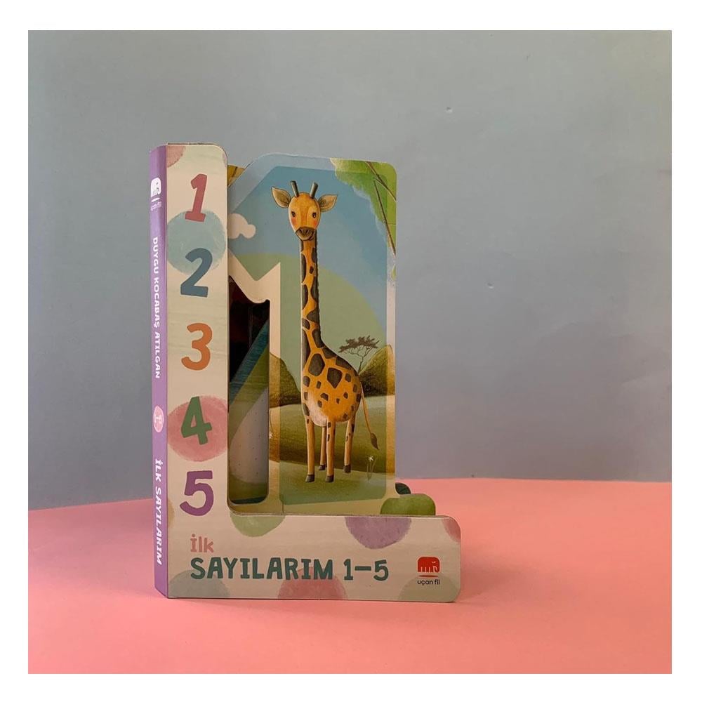 İlk Sayılarım 1-5 Çocuk Kitapları Uzmanı - Children's Books Expert