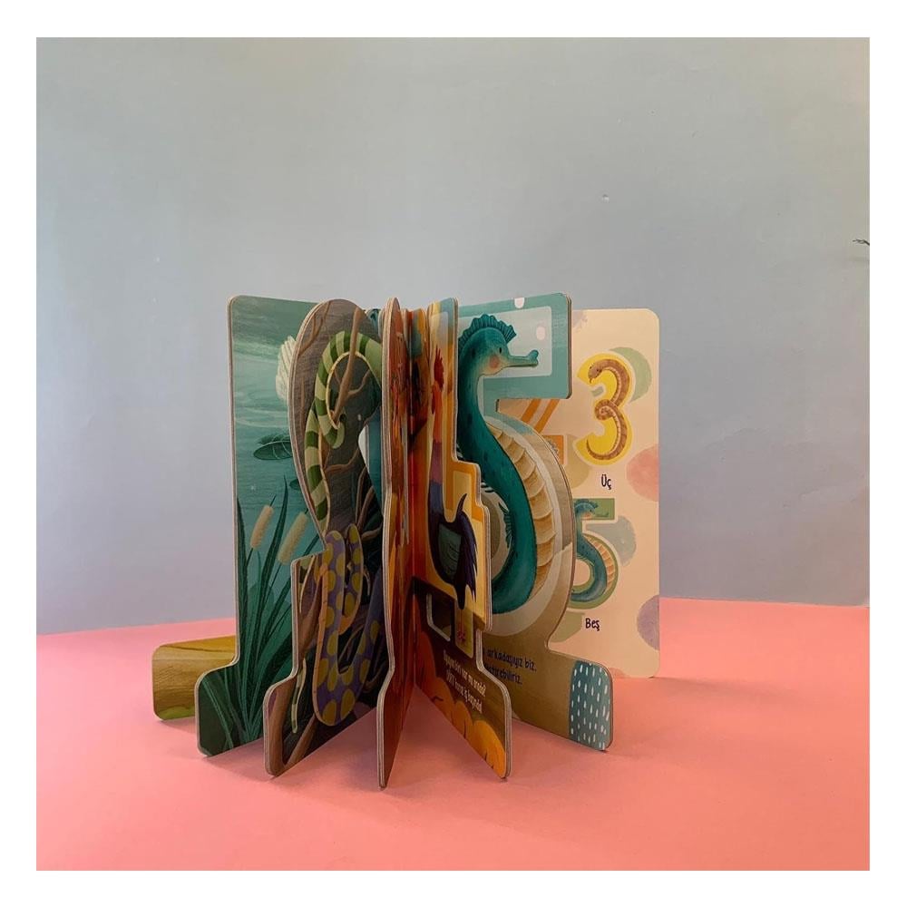 İlk Sayılarım 1-5 Çocuk Kitapları Uzmanı - Children's Books Expert