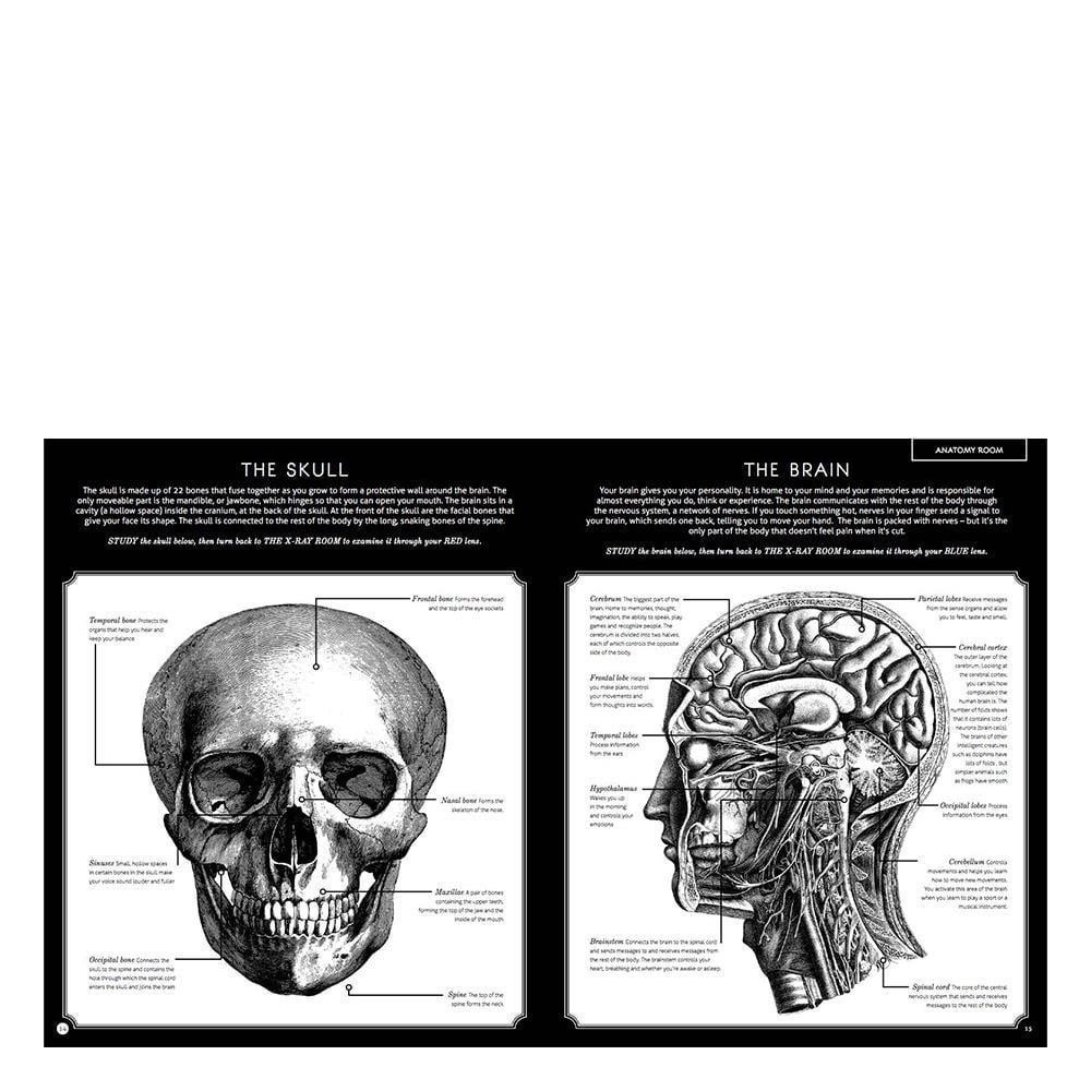 Illumanatomy Çocuk Kitapları Uzmanı - Children's Books Expert