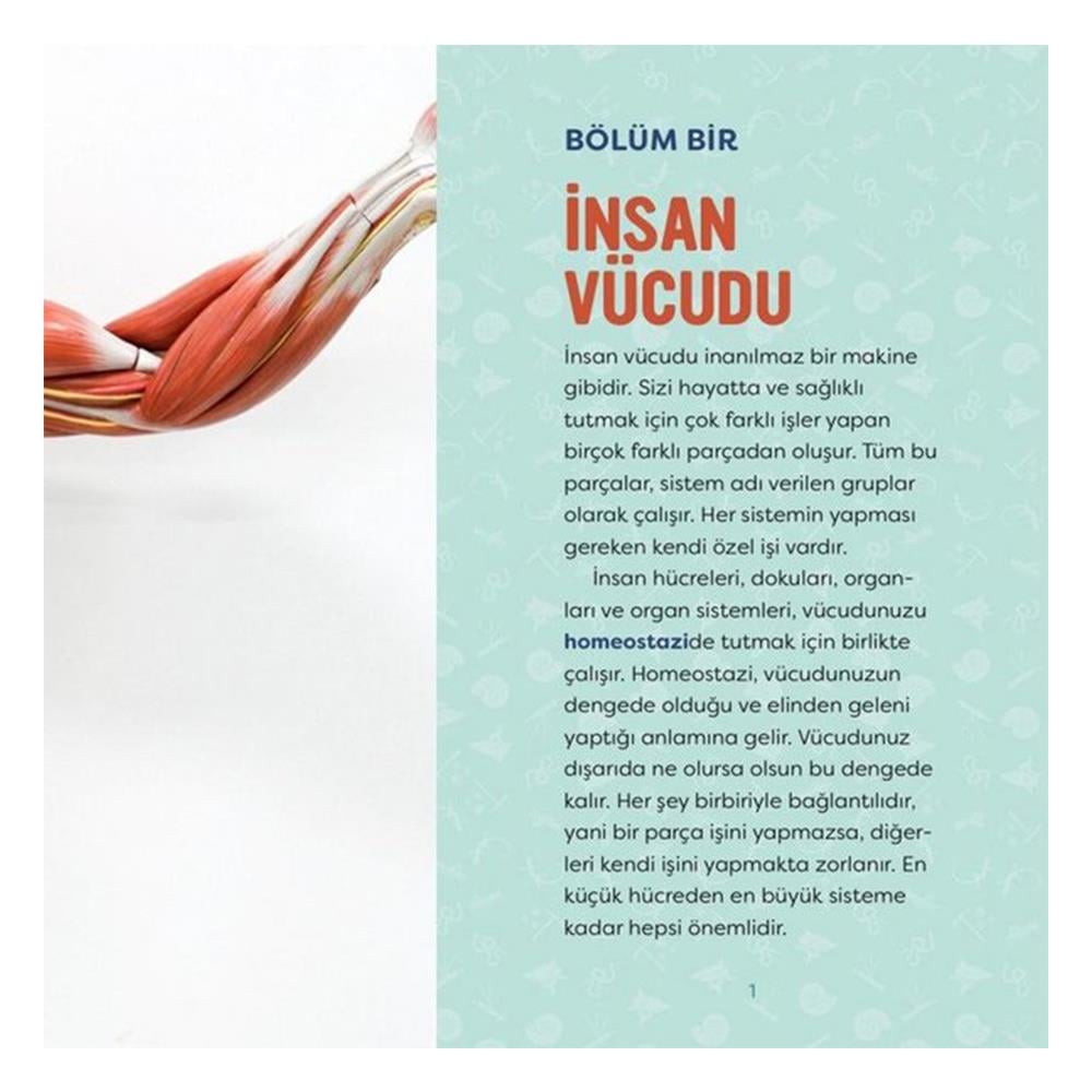 İNSAN VÜCUDU - GENÇ BİR BİLİM İNSANI İÇİN KILAVUZ Çocuk Kitapları Uzmanı - Children's Books Expert