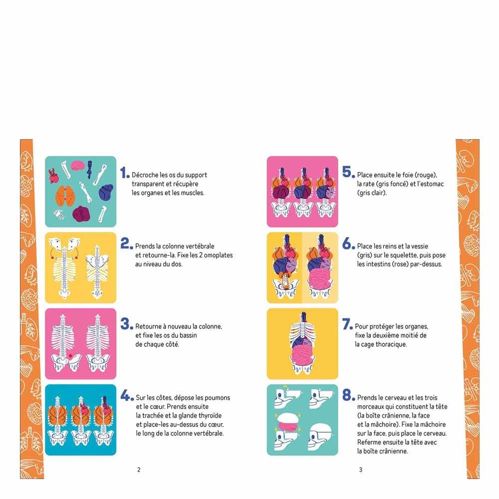 İnsan Vücudunu Keşfediyorum Poster -Model ve Kitap Çocuk Kitapları Uzmanı - Children's Books Expert