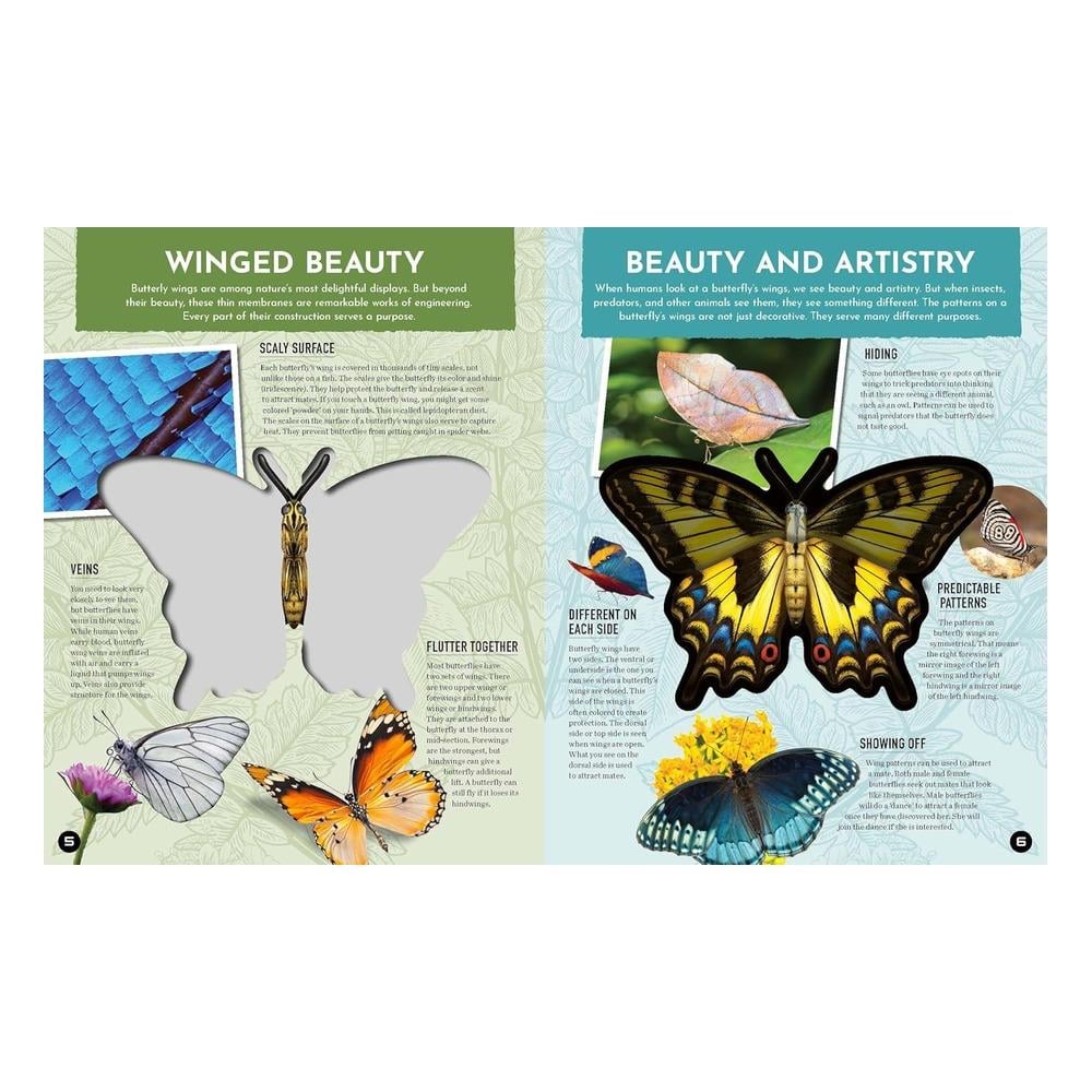 Inside Out Butterfly Çocuk Kitapları Uzmanı - Children's Books Expert