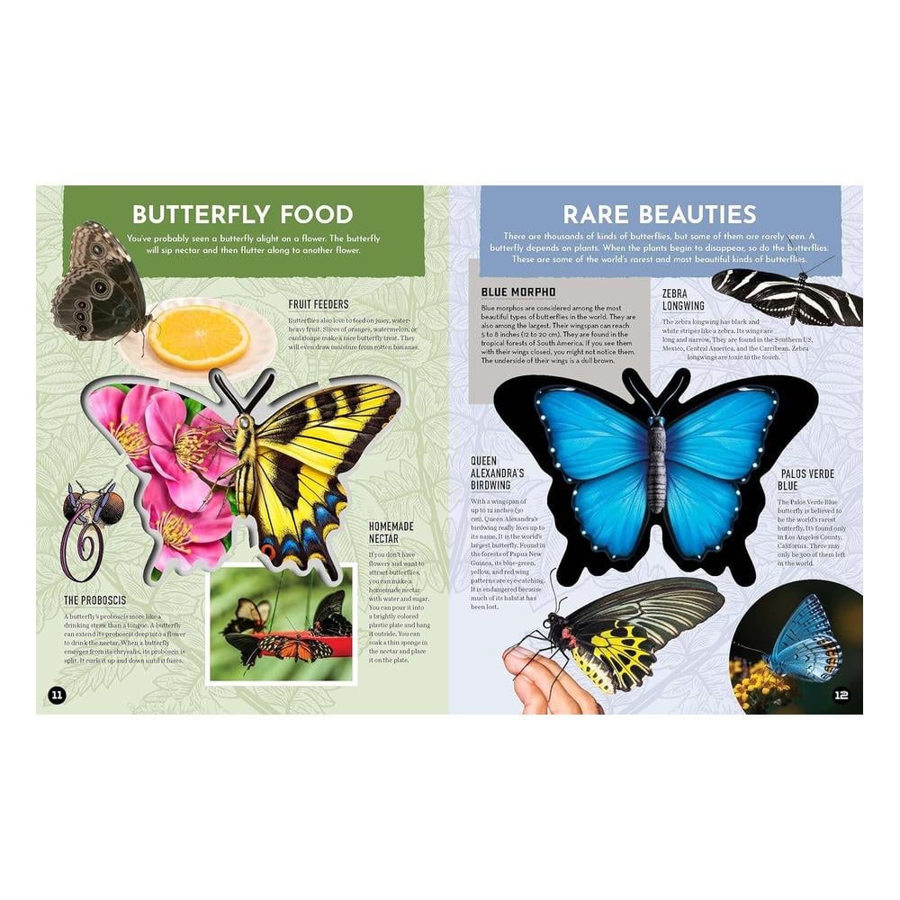 Inside Out Butterfly Çocuk Kitapları Uzmanı - Children's Books Expert