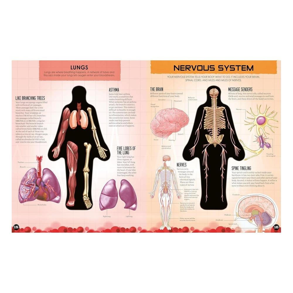 Inside Out Human Body Çocuk Kitapları Uzmanı - Children's Books Expert