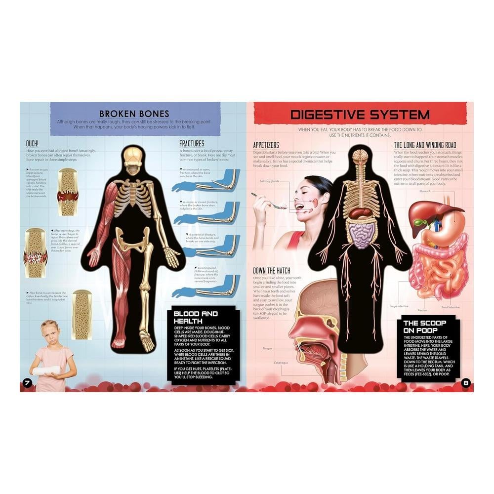 Inside Out Human Body Çocuk Kitapları Uzmanı - Children's Books Expert