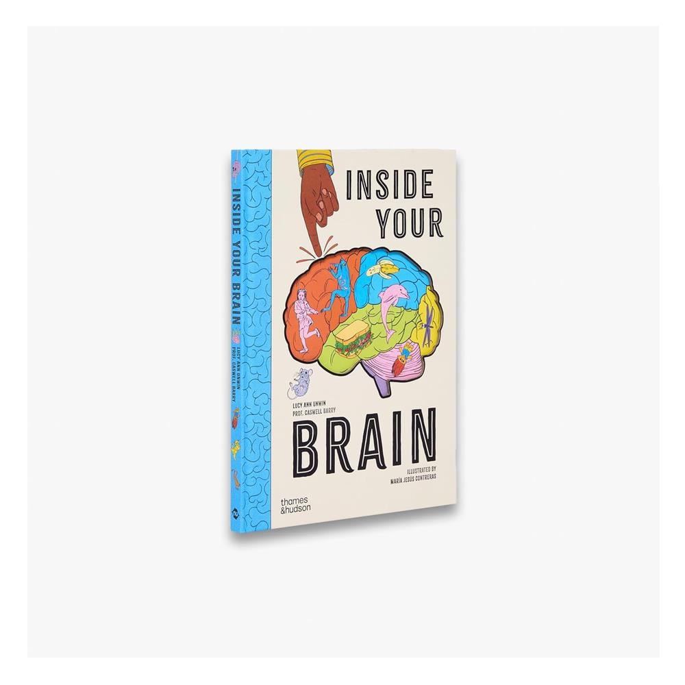 Inside Your Brain Çocuk Kitapları Uzmanı - Children's Books Expert