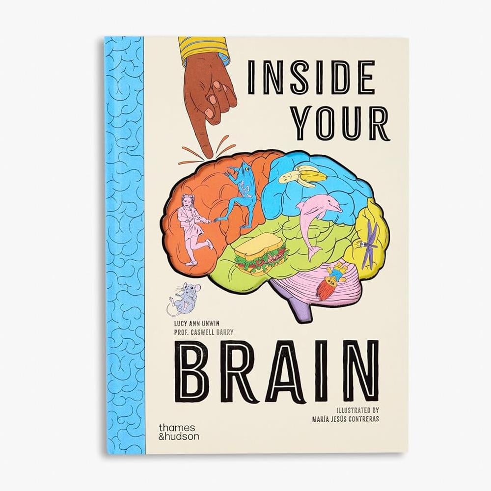 Inside Your Brain Çocuk Kitapları Uzmanı - Children's Books Expert