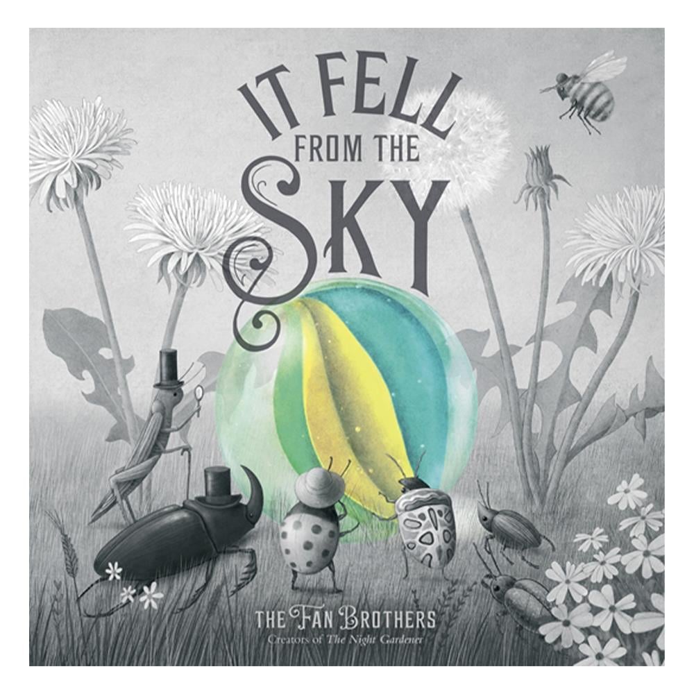 It Fell From The Sky Çocuk Kitapları Uzmanı - Children's Books Expert