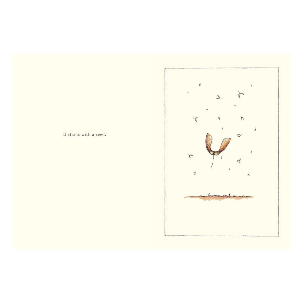 It Starts With A Seed Çocuk Kitapları Uzmanı - Children's Books Expert