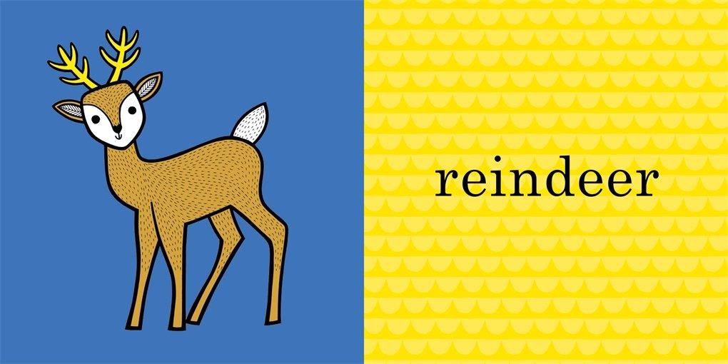 Jane Foster S Christmas Çocuk Kitapları Uzmanı - Children's Books Expert