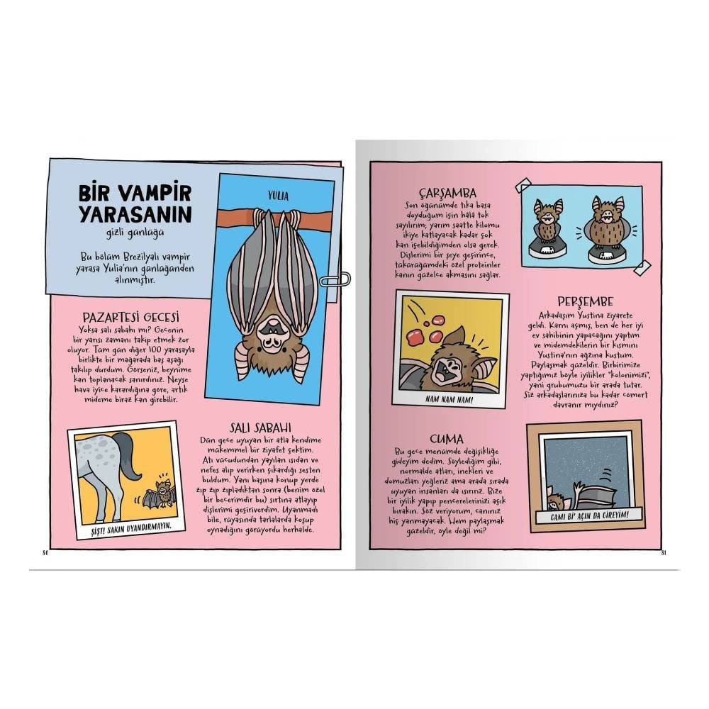 KAKANIN, PANDANIN VE SENİN YAŞAMINDA BİR GÜN Çocuk Kitapları Uzmanı - Children's Books Expert