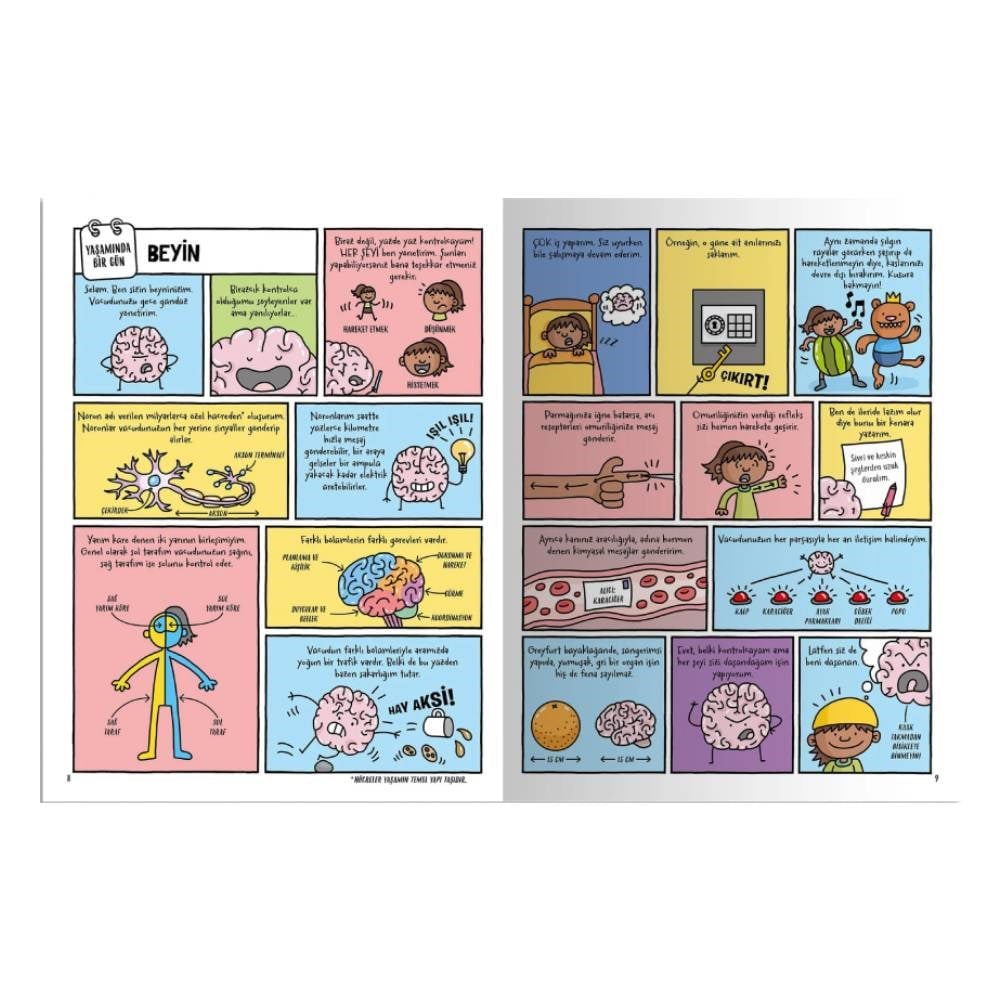 KAKANIN, PANDANIN VE SENİN YAŞAMINDA BİR GÜN Çocuk Kitapları Uzmanı - Children's Books Expert