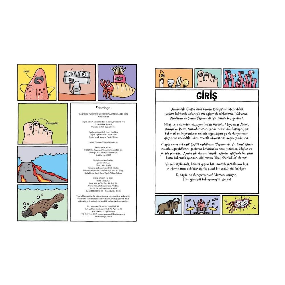 KAKANIN, PANDANIN VE SENİN YAŞAMINDA BİR GÜN Çocuk Kitapları Uzmanı - Children's Books Expert