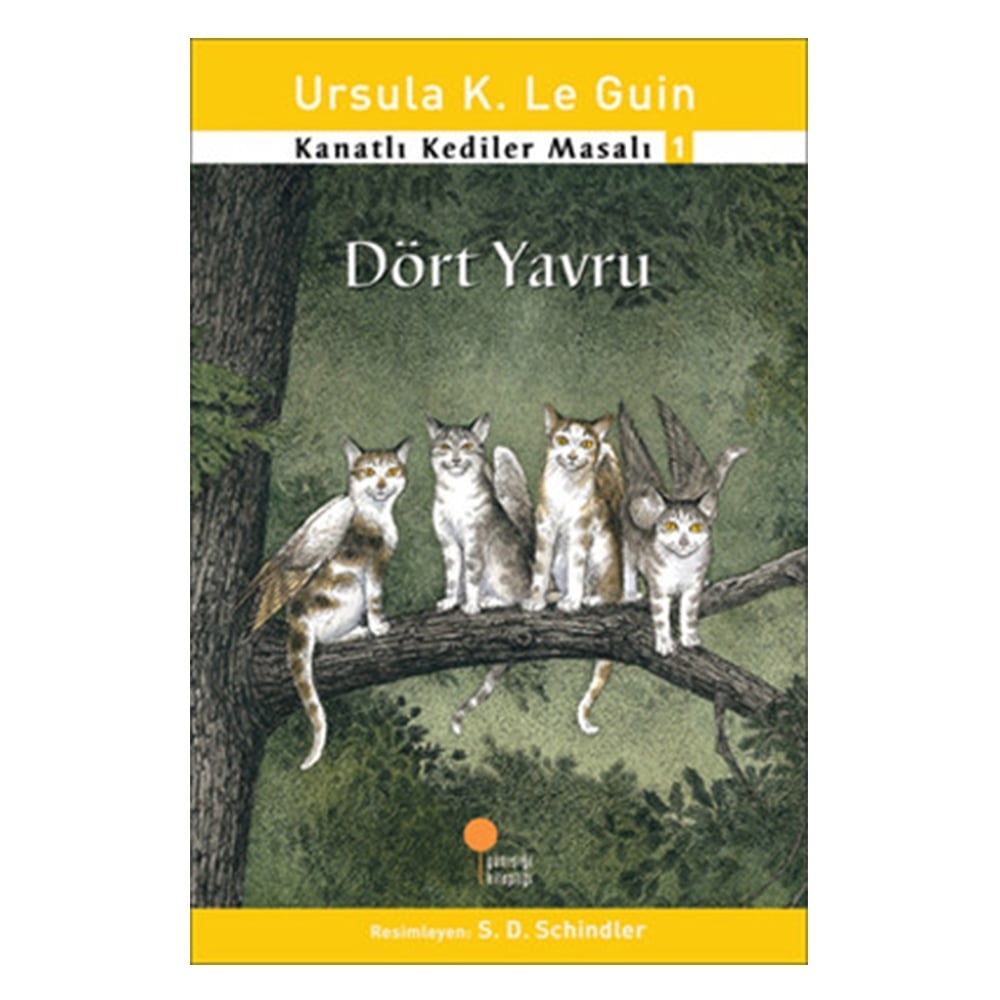 KANATLI KEDİLER MASALI 1 - DÖRT YAVRU Çocuk Kitapları Uzmanı - Children's Books Expert
