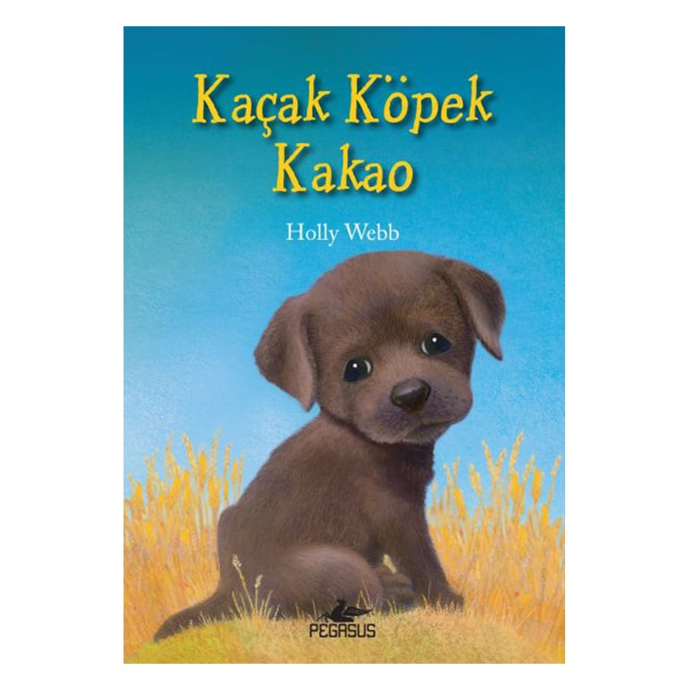 KAYIP KÖPEK KAKAO Çocuk Kitapları Uzmanı - Children's Books Expert