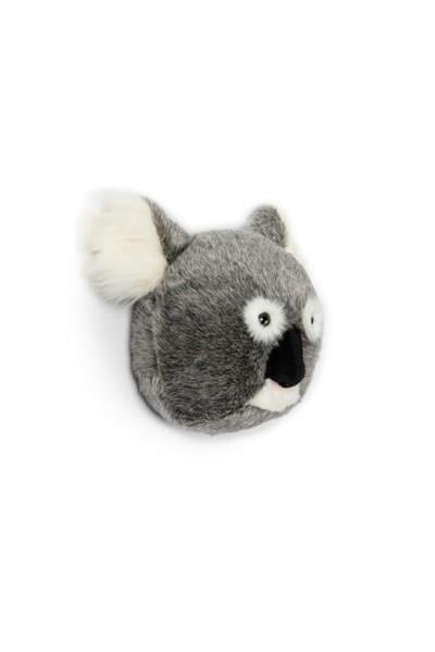 Koala 'Noah'