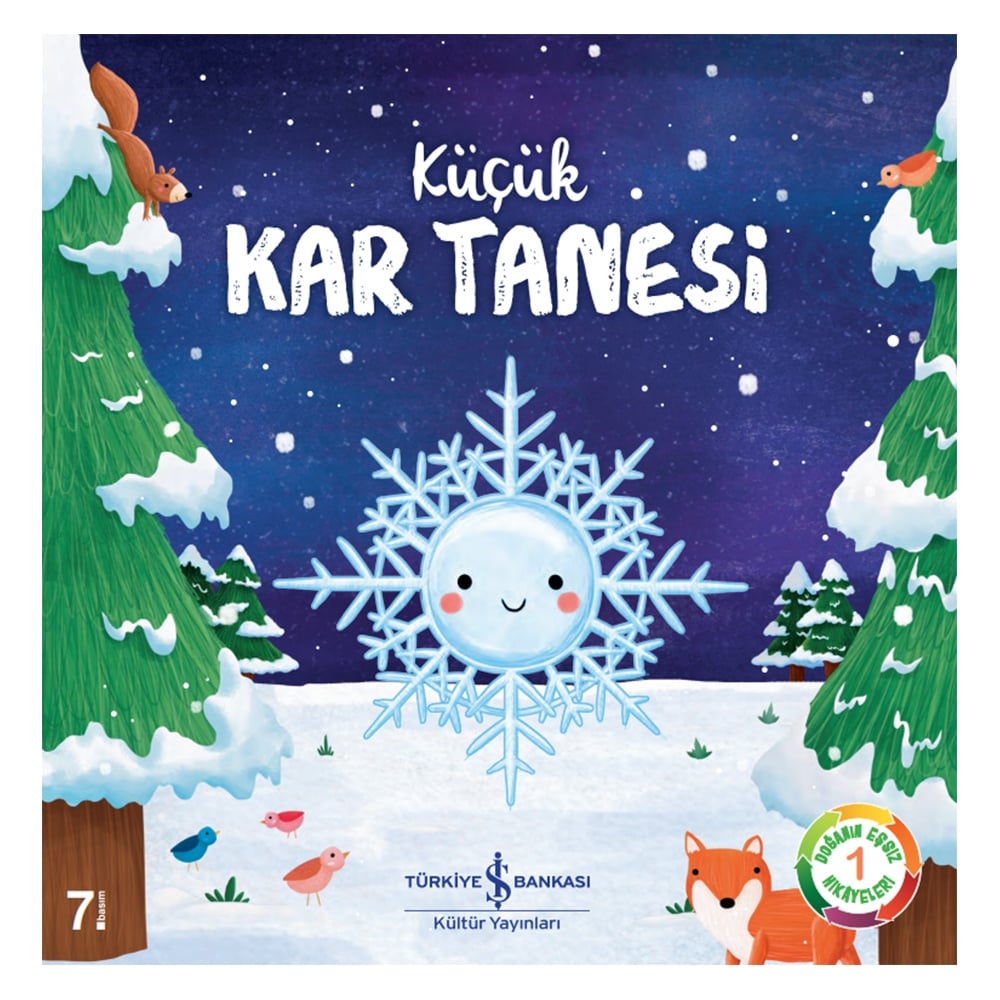 KÜÇÜK KAR TANESİ