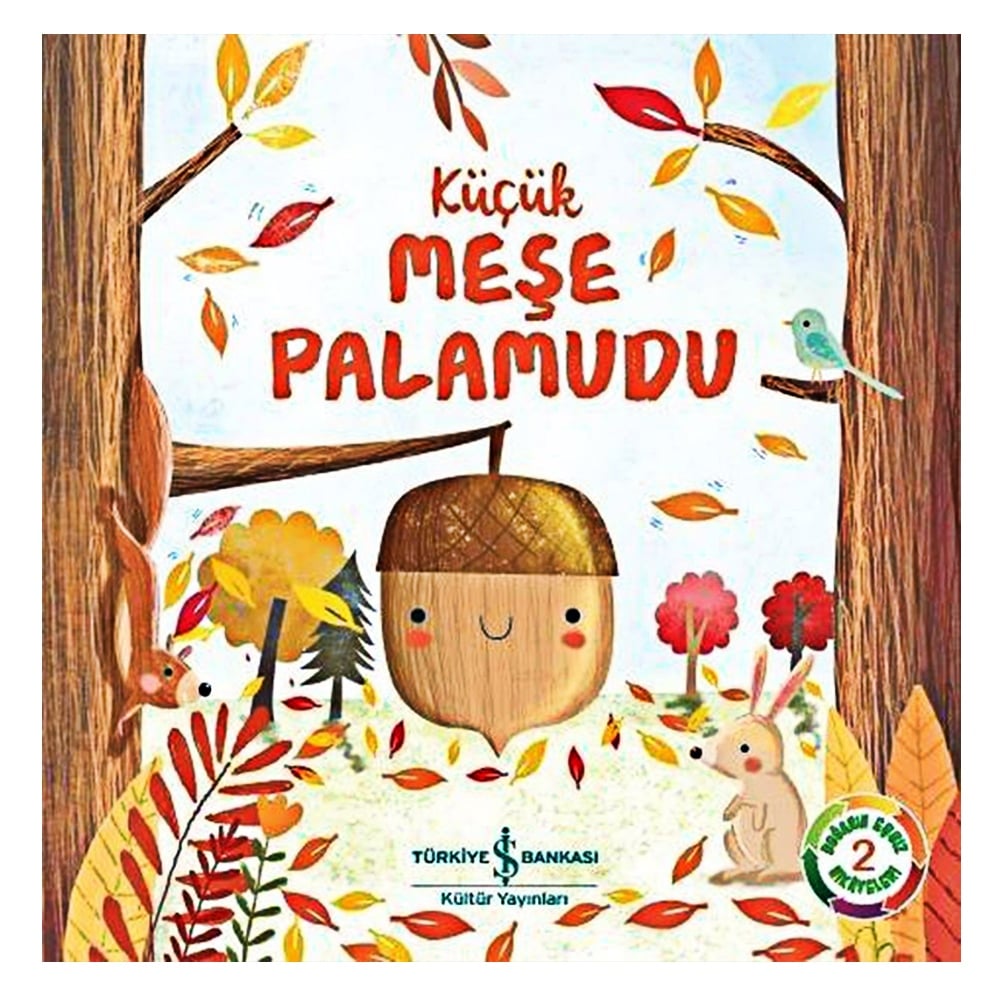 KÜÇÜK MEŞE PALAMUDU