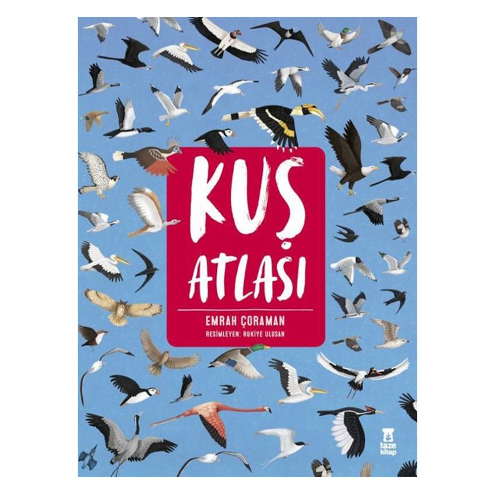 KUŞ ATLASI Çocuk Kitapları Uzmanı - Children's Books Expert