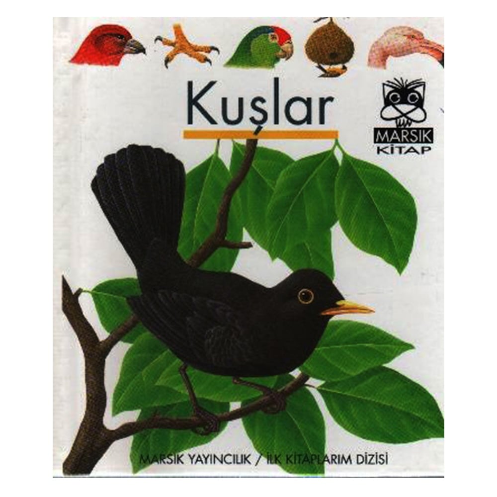 KUŞLAR Çocuk Kitapları Uzmanı - Children's Books Expert