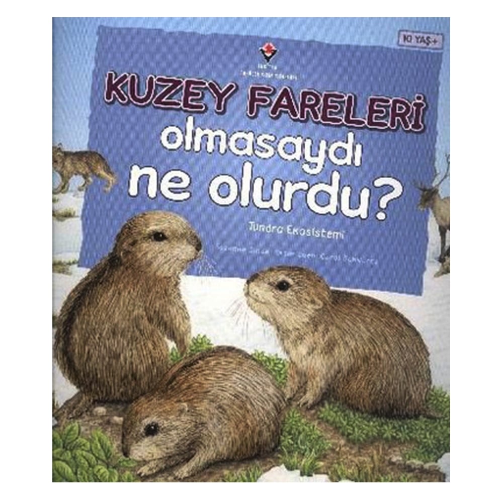 KUZEY FARELERİ OLMASAYDI NE OLURDU TUNDRA EKOSİSTE Çocuk Kitapları Uzmanı - Children's Books Expert
