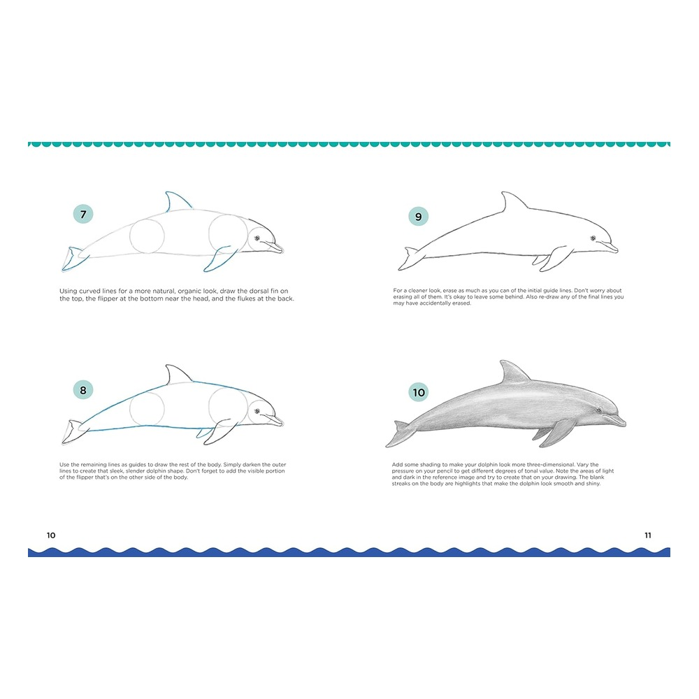 Let s Draw Sea Creatures Çocuk Kitapları Uzmanı - Children's Books Expert