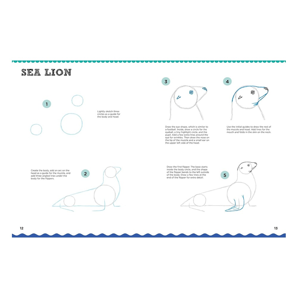Let s Draw Sea Creatures Çocuk Kitapları Uzmanı - Children's Books Expert