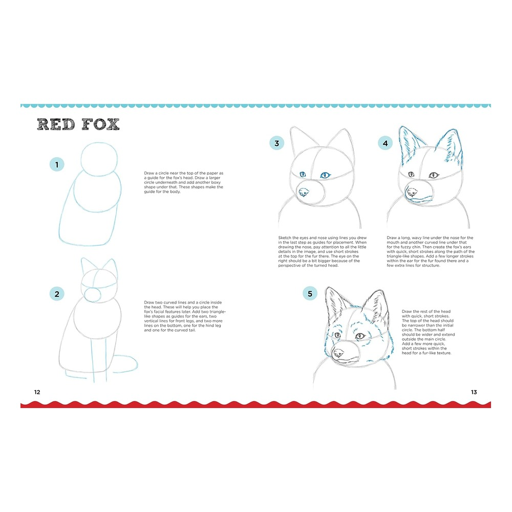 Lets Draw Favorite Animals Çocuk Kitapları Uzmanı - Children's Books Expert
