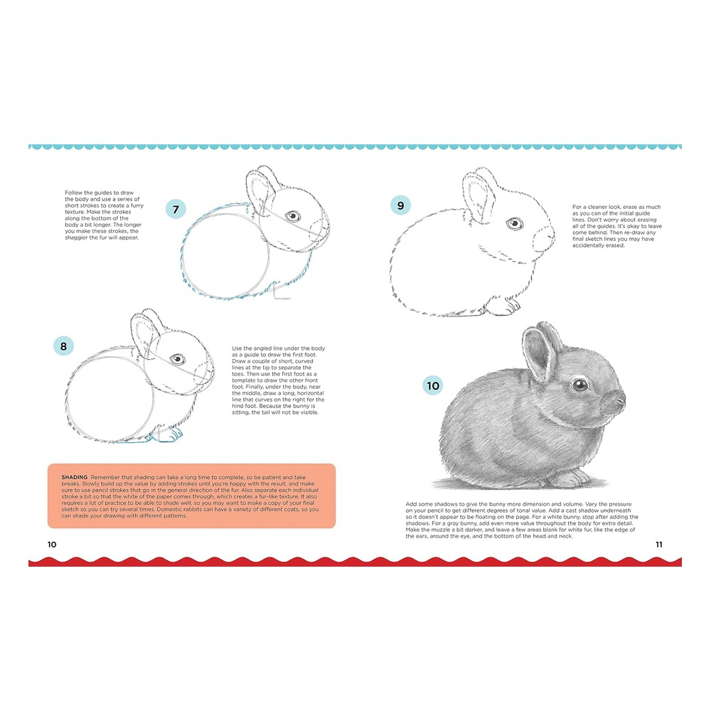 Lets Draw Favorite Animals Çocuk Kitapları Uzmanı - Children's Books Expert