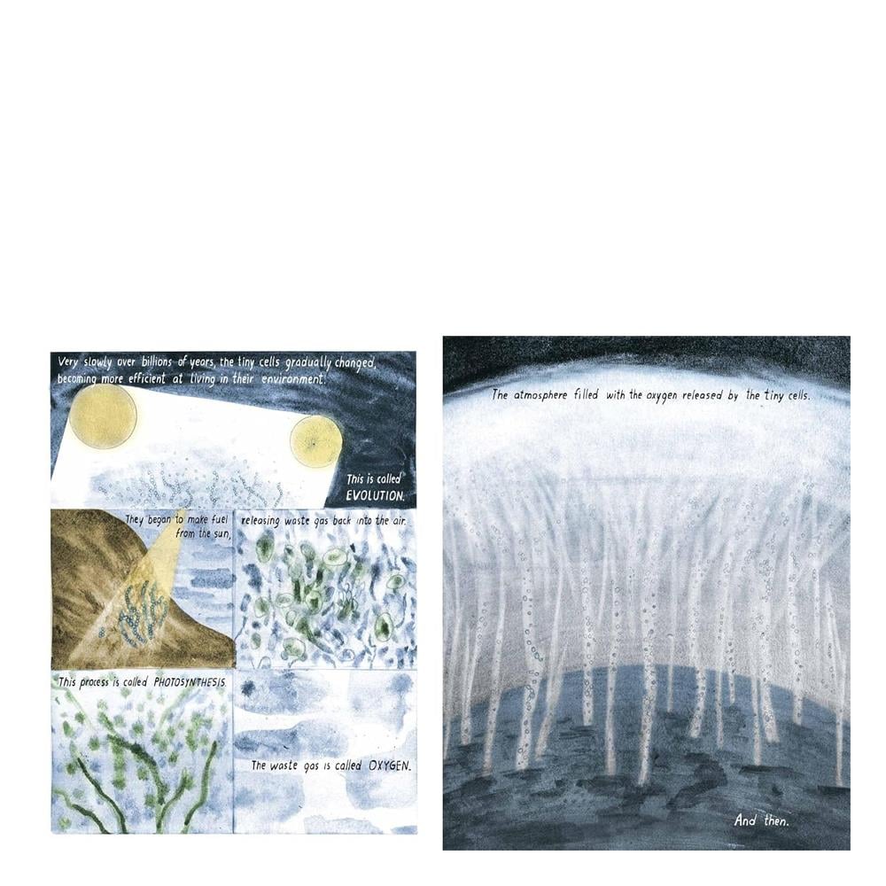 Life as We Know It Çocuk Kitapları Uzmanı - Children's Books Expert