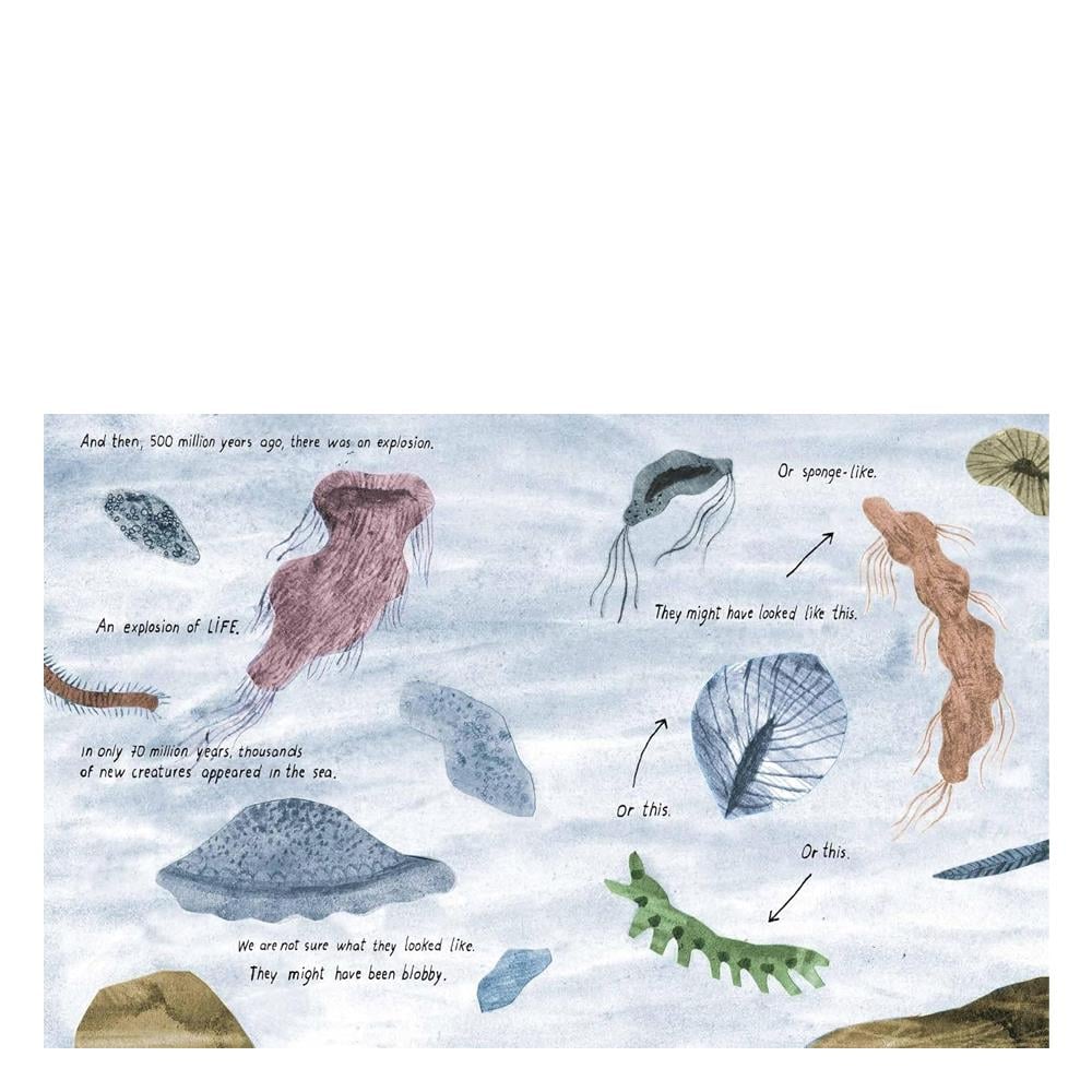 Life as We Know It Çocuk Kitapları Uzmanı - Children's Books Expert