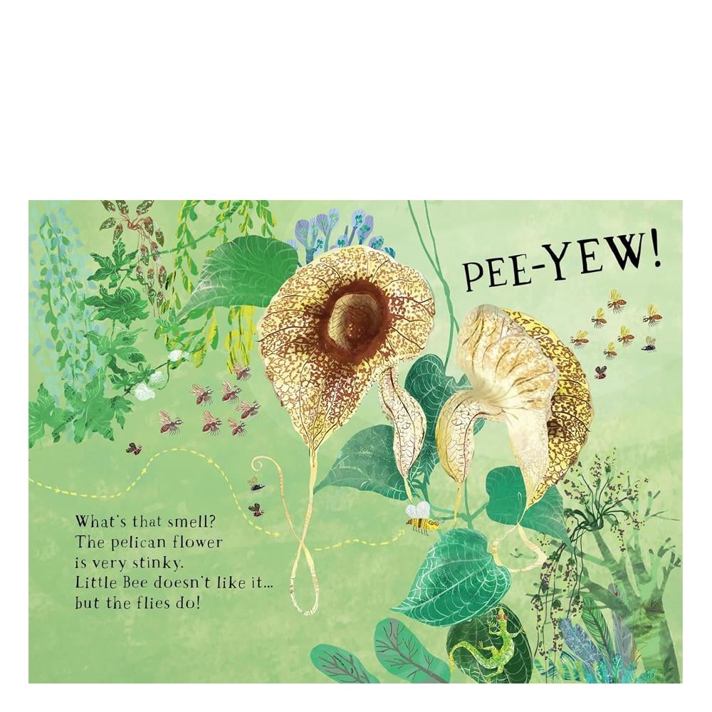 Little Bee s Book of Blooms Çocuk Kitapları Uzmanı - Children's Books Expert