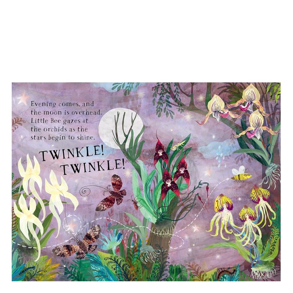 Little Bee s Book of Blooms Çocuk Kitapları Uzmanı - Children's Books Expert