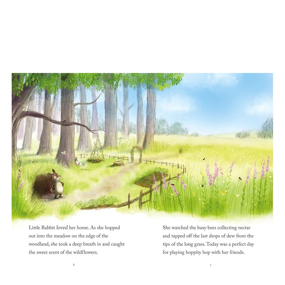 Little Rabbits Big Surprise Çocuk Kitapları Uzmanı - Children's Books Expert