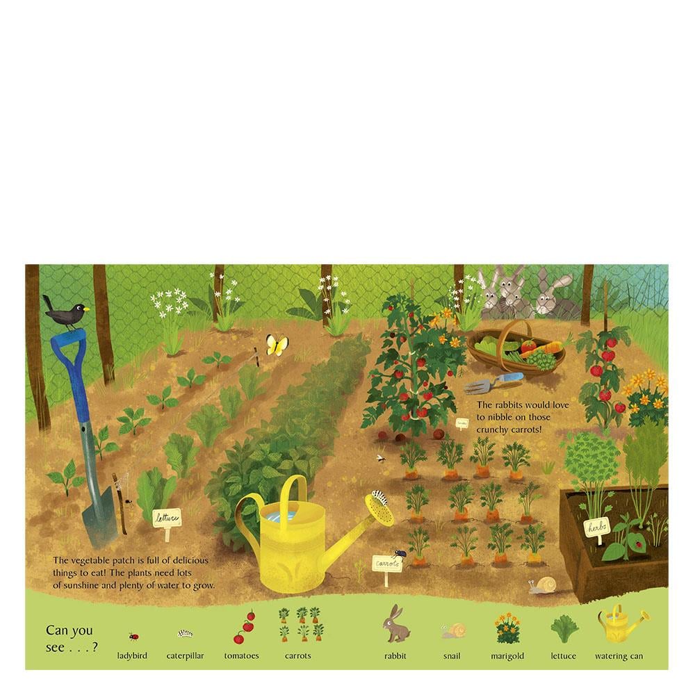 LOOK AND SAY WHAT YOU SEE ON THE FARM Çocuk Kitapları Uzmanı - Children's Books Expert