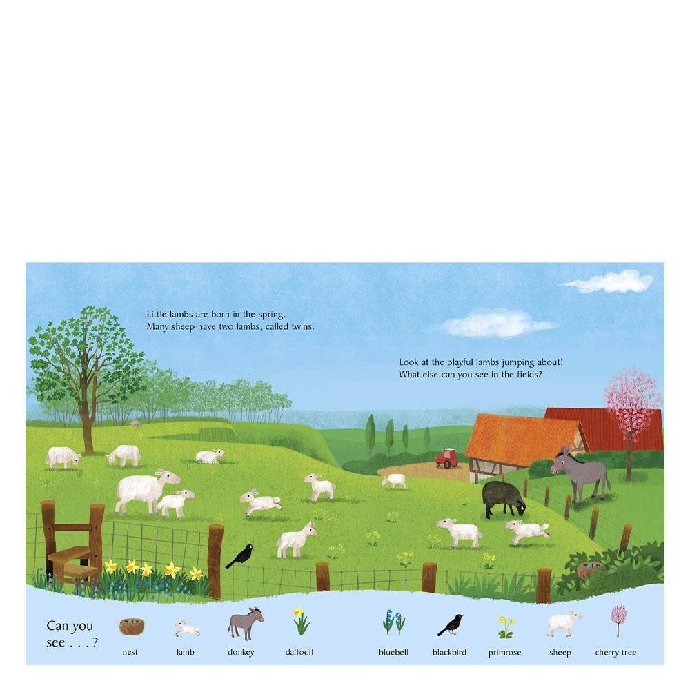 LOOK AND SAY WHAT YOU SEE ON THE FARM Çocuk Kitapları Uzmanı - Children's Books Expert