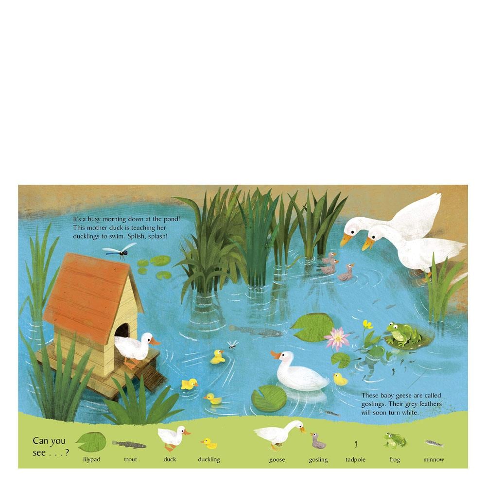 LOOK AND SAY WHAT YOU SEE ON THE FARM Çocuk Kitapları Uzmanı - Children's Books Expert