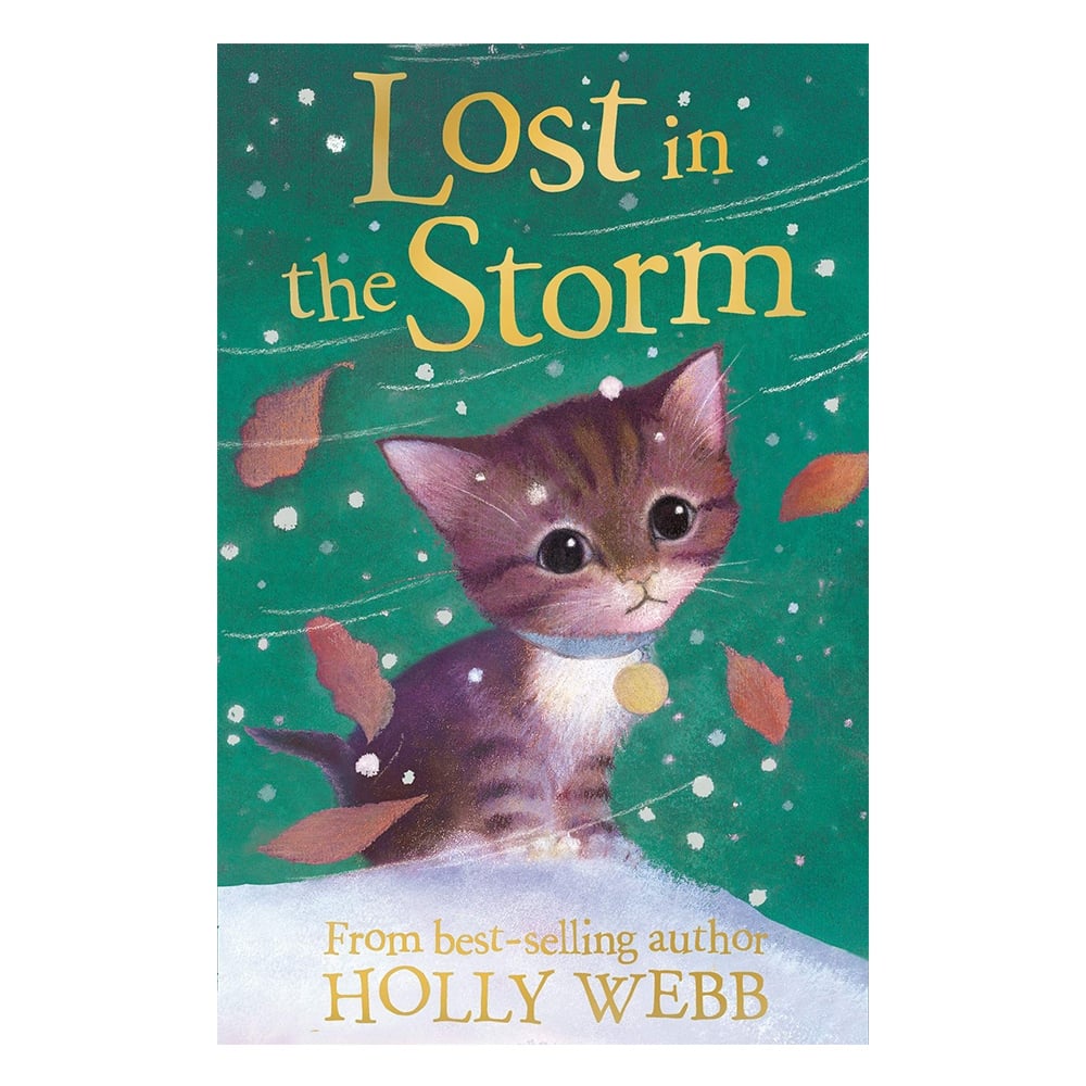 LOST IN STORM Çocuk Kitapları Uzmanı - Children's Books Expert