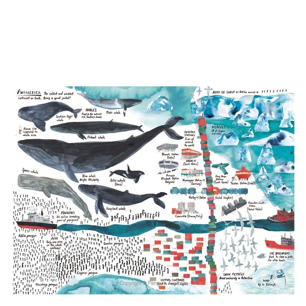 LOTS - THE DIVERSITY OF LIFE ON EARTH #yenigelenle Çocuk Kitapları Uzmanı - Children's Books Expert
