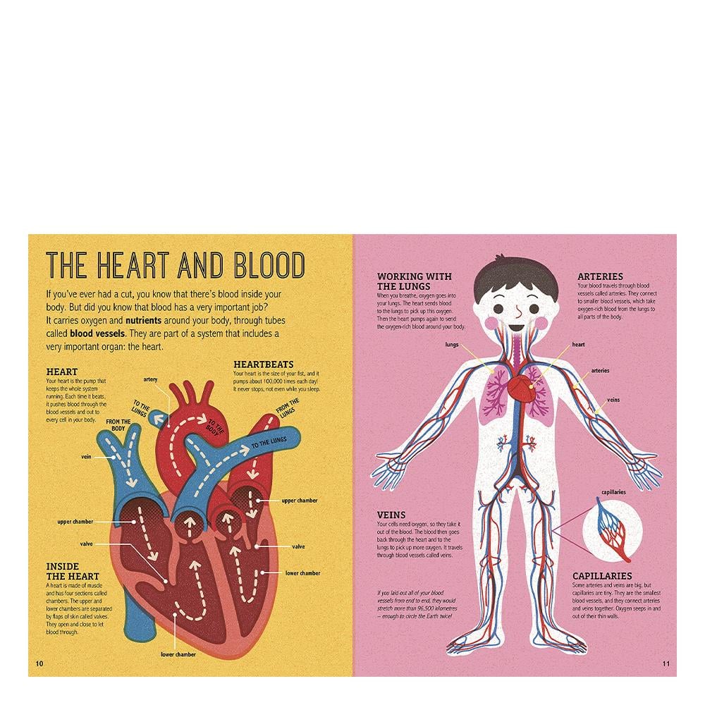 Magic Magnifying Glass - My Amazing Body Çocuk Kitapları Uzmanı - Children's Books Expert