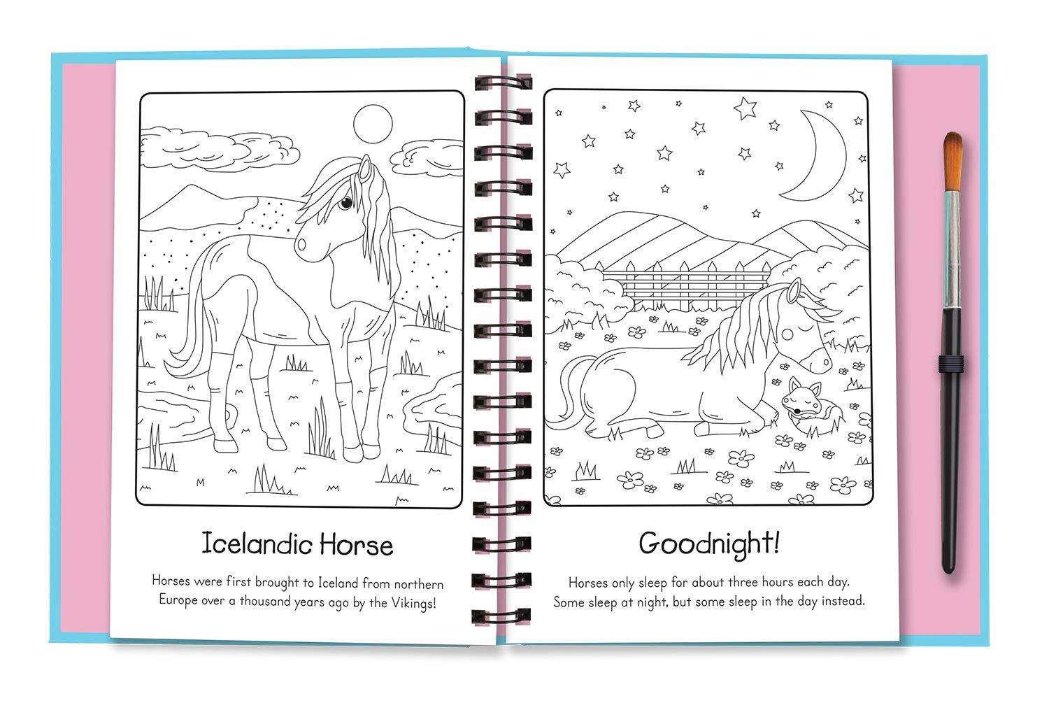 Manes And Tails Horses And Unicorns Çocuk Kitapları Uzmanı - Children's Books Expert