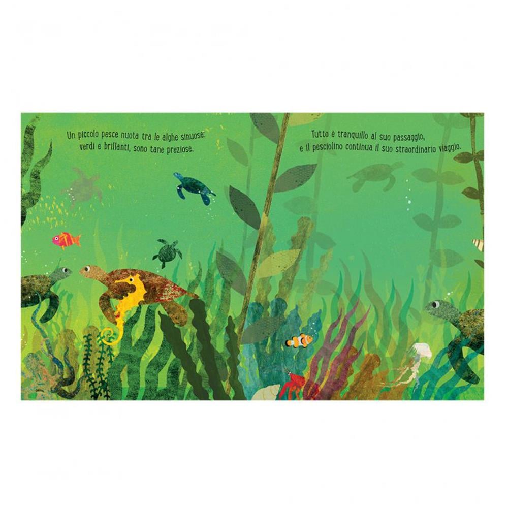 Mare - Uno Straordinario Mondo Tra Le Onde Çocuk Kitapları Uzmanı - Children's Books Expert